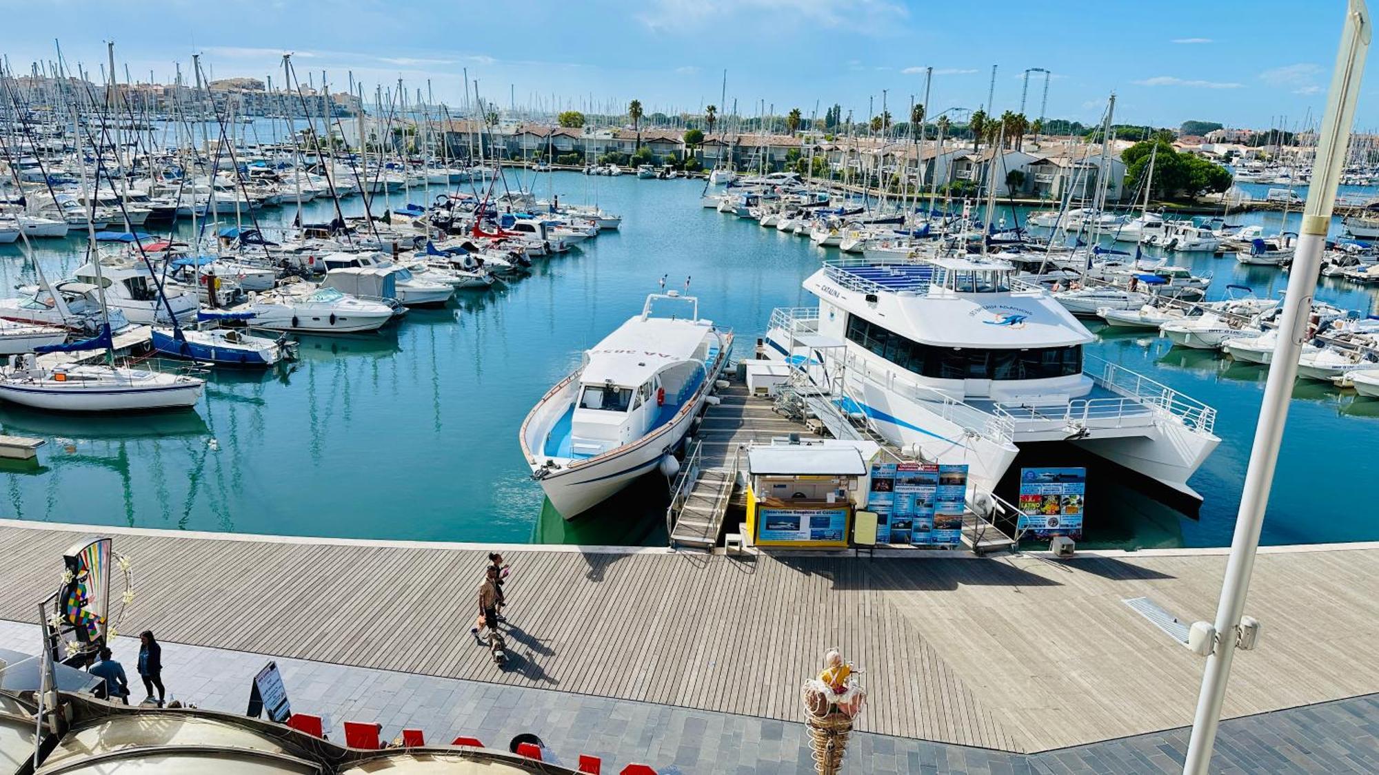 Studio Face Au Port Агд Экстерьер фото